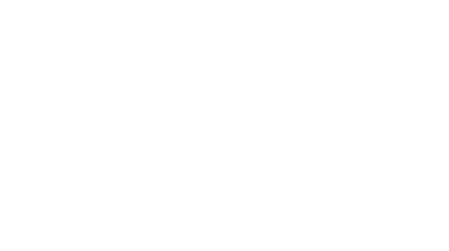 ÖSEL Foundation